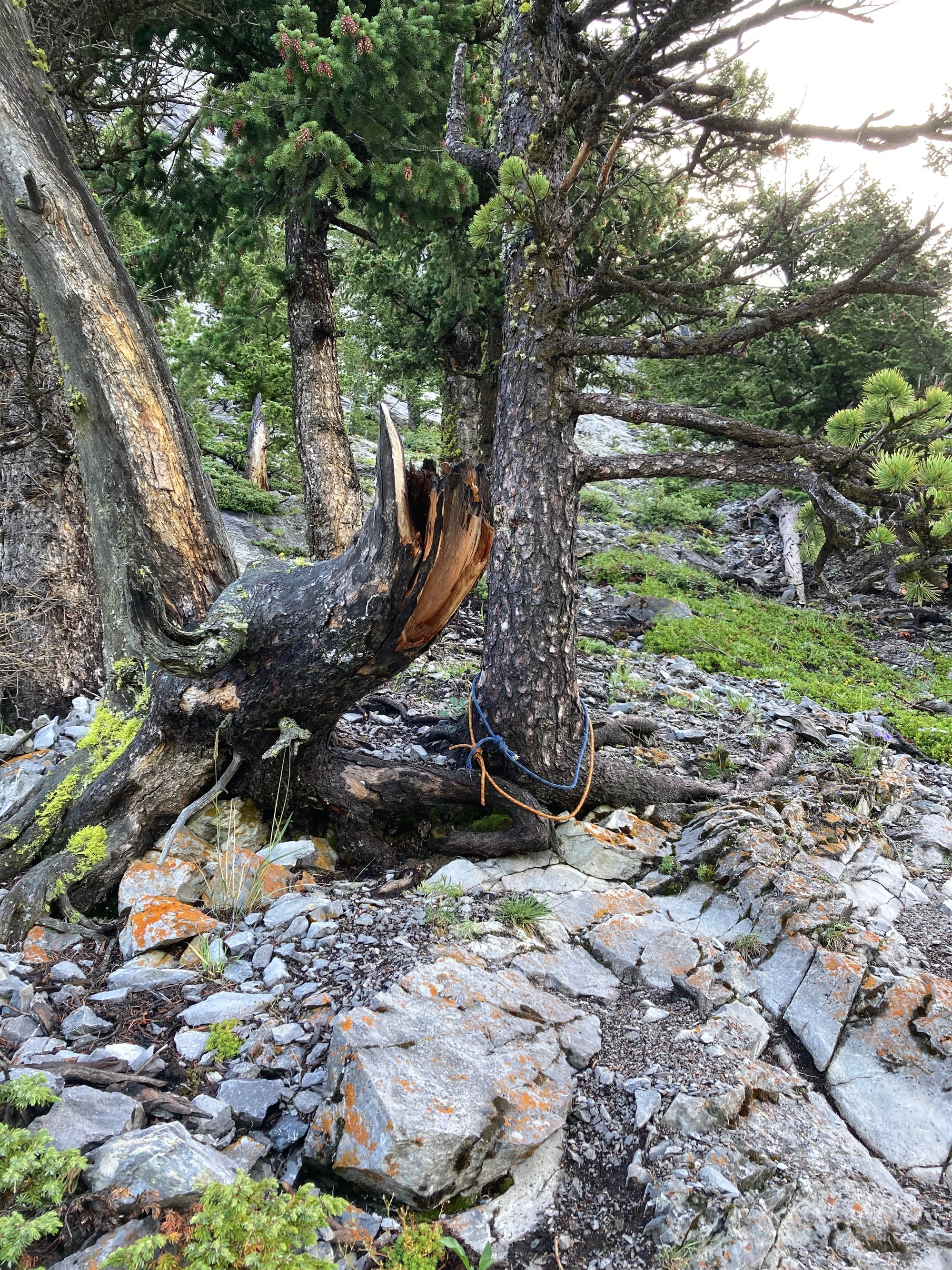 Scrambling the Groove: Climbing Adventure Near Kananaskis’ Rocky Edge